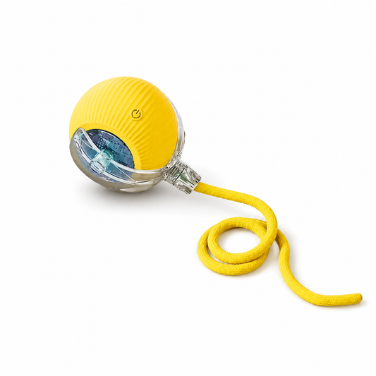 Avoidance Pet Toy Ball with 3 Speed Modes