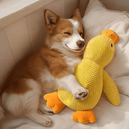 Quacking Crinkle Duck Comfort Calming Toy for Dog Separation Anxiety Proper Relief